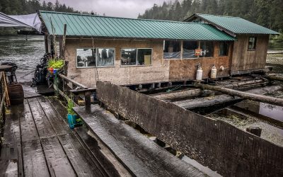 West Coast Trail – Day 5