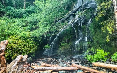 West Coast Trail – Day 2