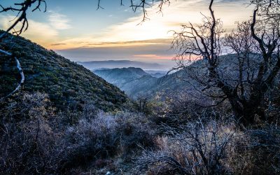 PCT day 5 – Mount Laguna to Mile 63.6