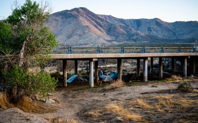 PCT Day 6 – Mile 63.6 to Scissors Crossing
