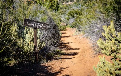 PCT Day 7 – Scissors Crossing to PCT mile 94.4