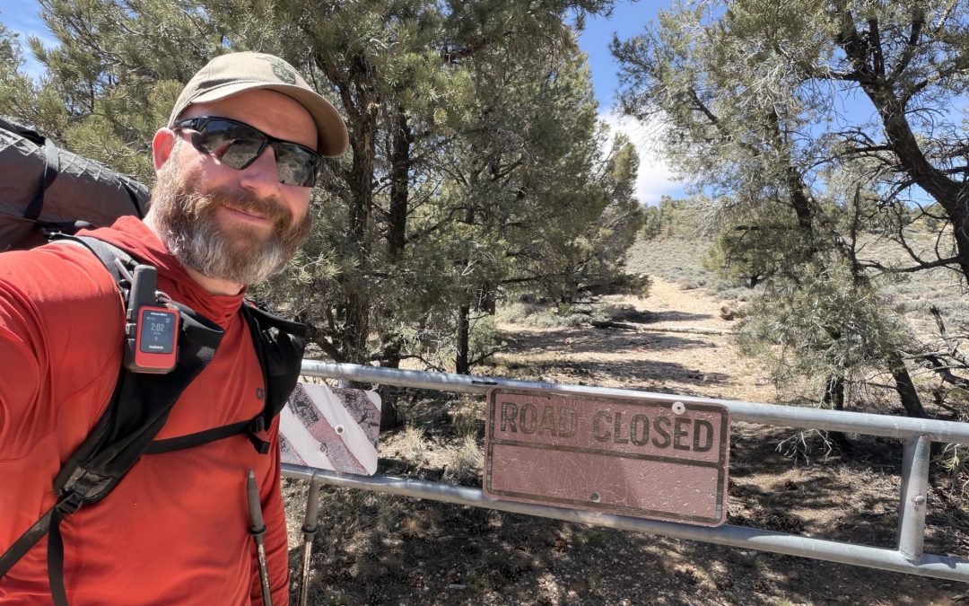 PCT Day 20 – Banning to Big Bear (266.1) to PCT Mile 275