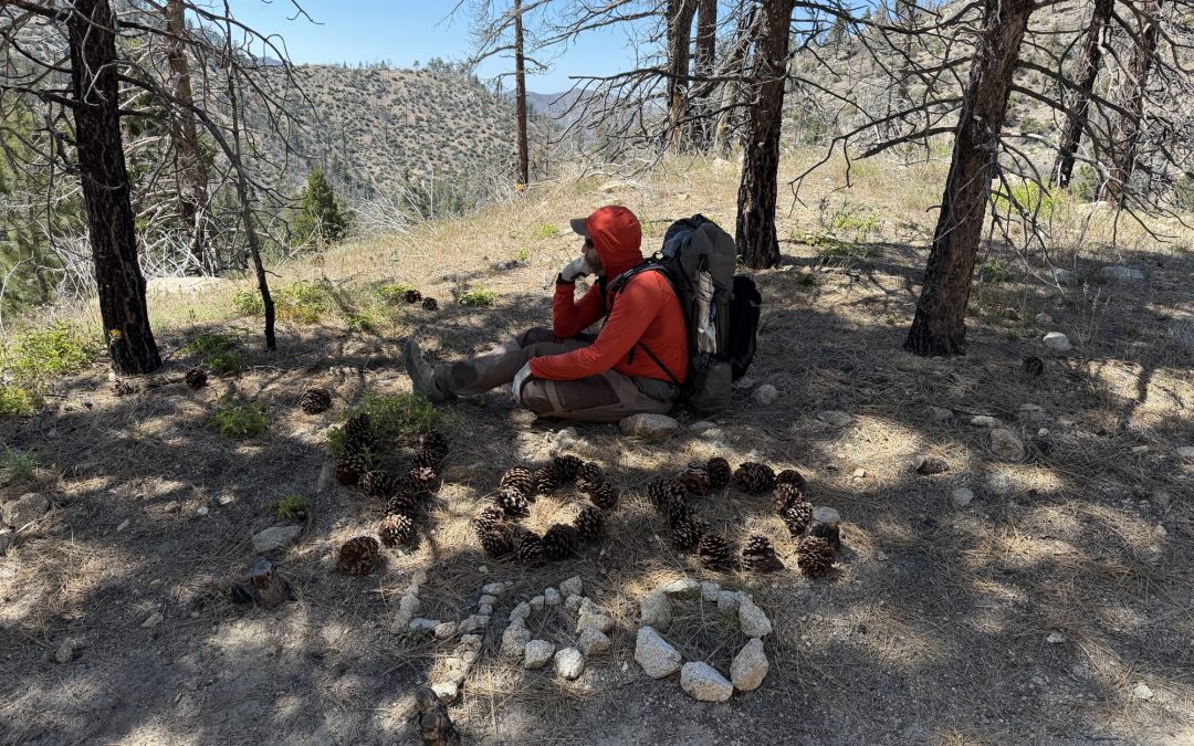 PCT Day 29 – PCT mile 383.9 to 404.3 via Alternate Route