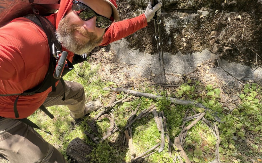 PCT Day 42 – PCT mile 587.5 to Landers Meadow Camp (Mile 610.1)