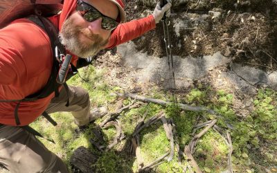 PCT Day 42 – PCT mile 587.5 to Landers Meadow Camp (Mile 610.1)
