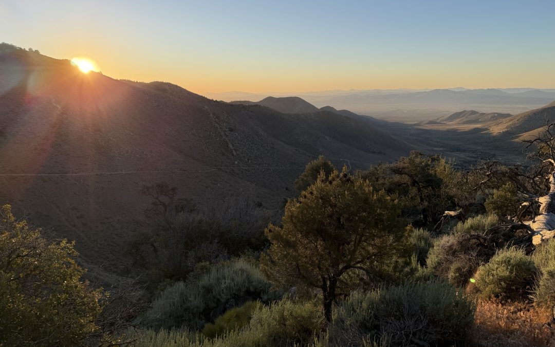 PCT Day 44 – PCT Mile 637.3 to Ridgecrest (653.2)