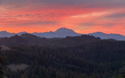 PCT Day 98 – Belden Town (1288.5) to PCT mile 1313.4